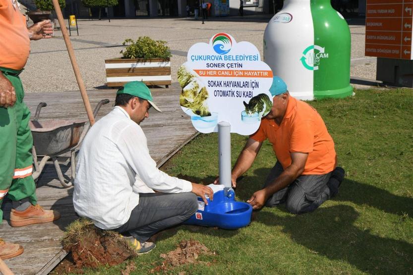 Bu parkta sokak hayvanlarına da yer var
