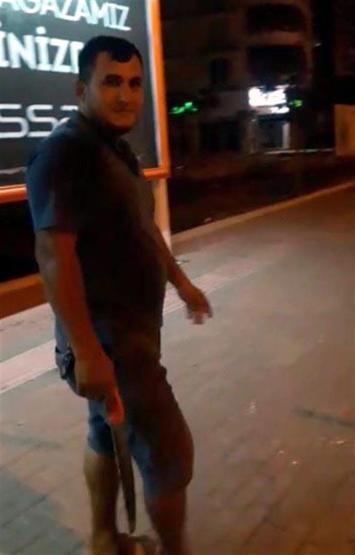 Reklam için ağaçları kestiler