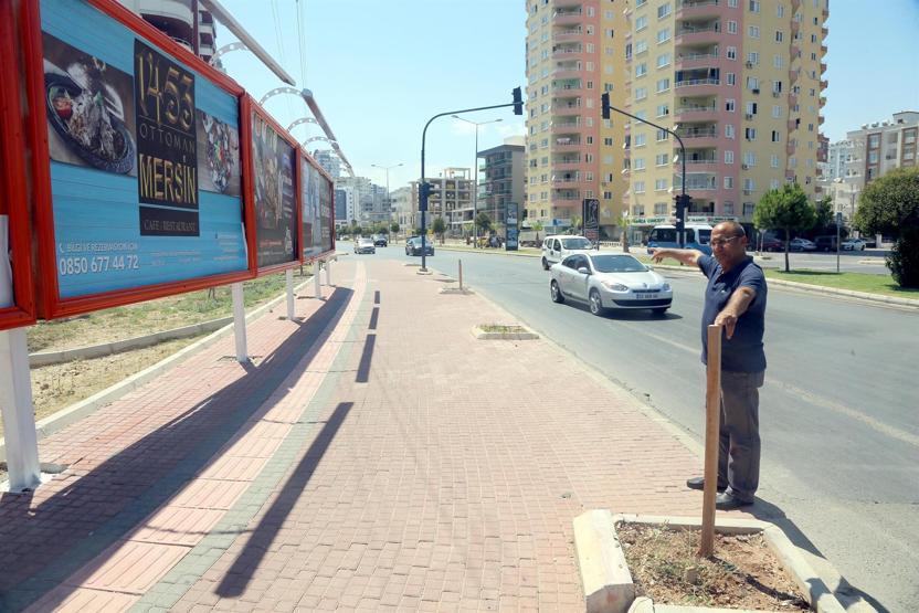 Reklam için ağaçları kestiler