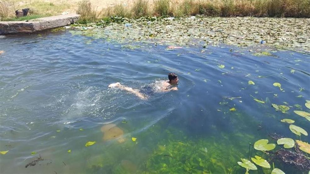 Sıcaktan kaçan göle atladı
