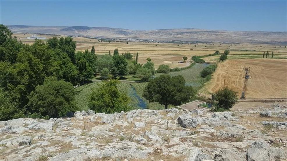 Sıcaktan kaçan göle atladı