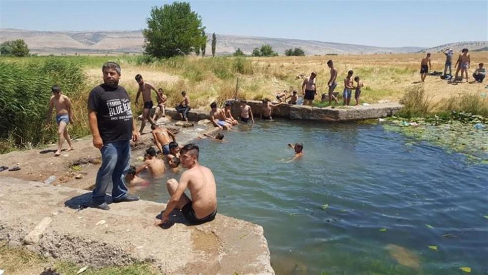 Sıcaktan kaçan göle atladı