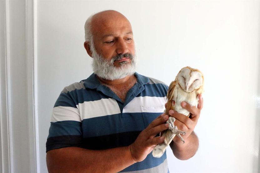 Uçamayan baykuş şimdi tedavi görüyor