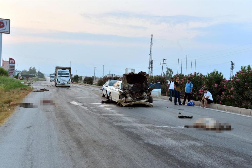 Sürüye araba çarptı 30 koyun öldü, çoban kaçtı