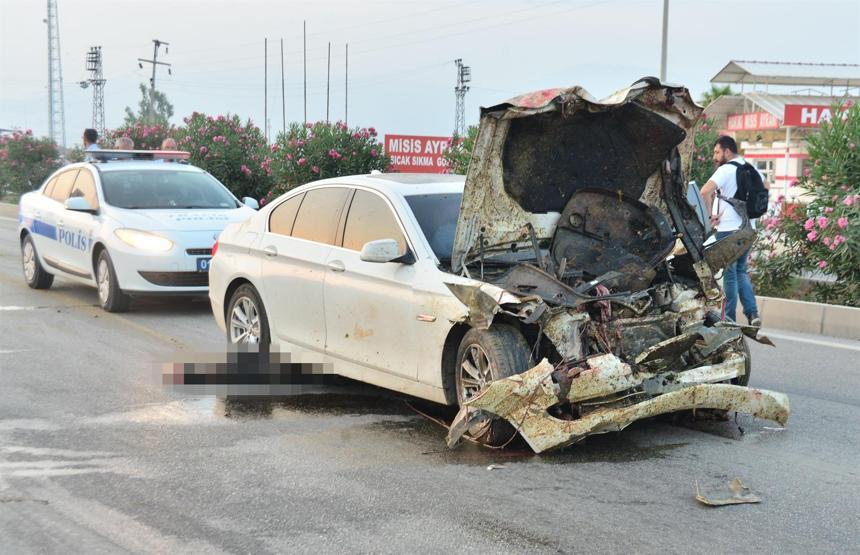 Sürüye araba çarptı 30 koyun öldü, çoban kaçtı