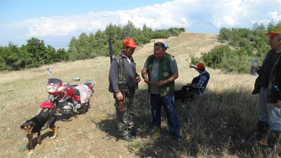 Çiftçilerin ve domuzların birbirleriyle başı dertte