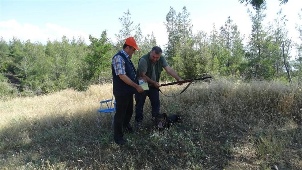 Çiftçilerin ve domuzların birbirleriyle başı dertte