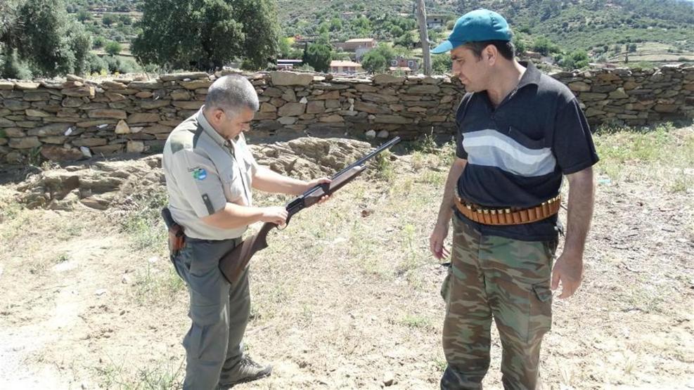 Çiftçilerin ve domuzların birbirleriyle başı dertte