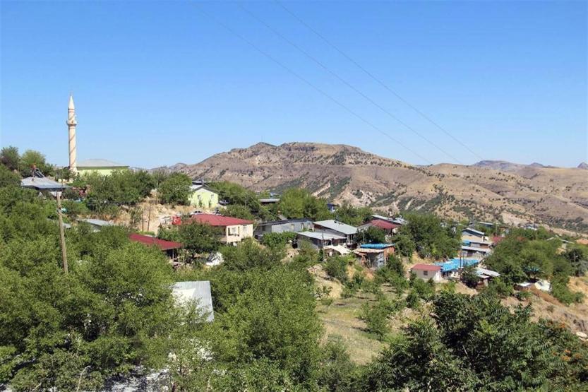 Uzun yaşamanın sırrını açıkladı: Tuncelide yetişen dut
