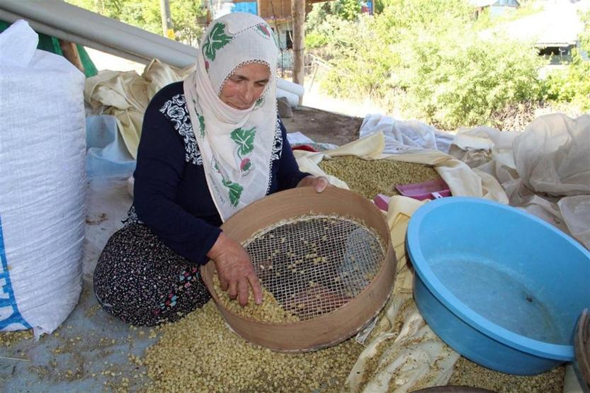 Uzun yaşamanın sırrını açıkladı: Tuncelide yetişen dut