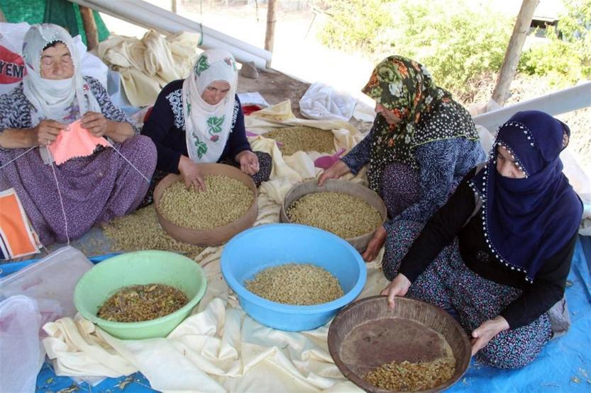 Uzun yaşamanın sırrını açıkladı: Tuncelide yetişen dut