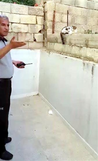 Çatıdan atlayan kedi inşaat demirine saplandı