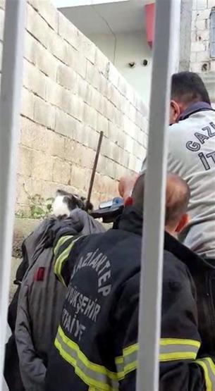 Çatıdan atlayan kedi inşaat demirine saplandı