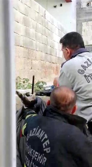 Çatıdan atlayan kedi inşaat demirine saplandı