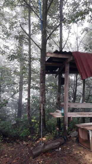 Ağacın gövdesini musluk yaptı