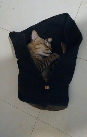 Sığıyorsam, orası benim evimdir