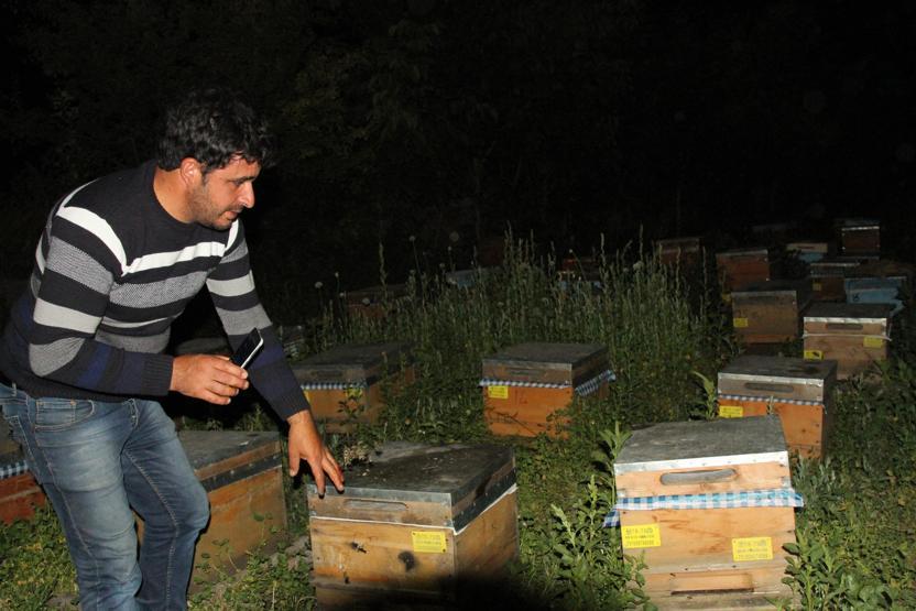 Ardahanda 1 milyon arıyı tarım ilacı ile zehirlediler