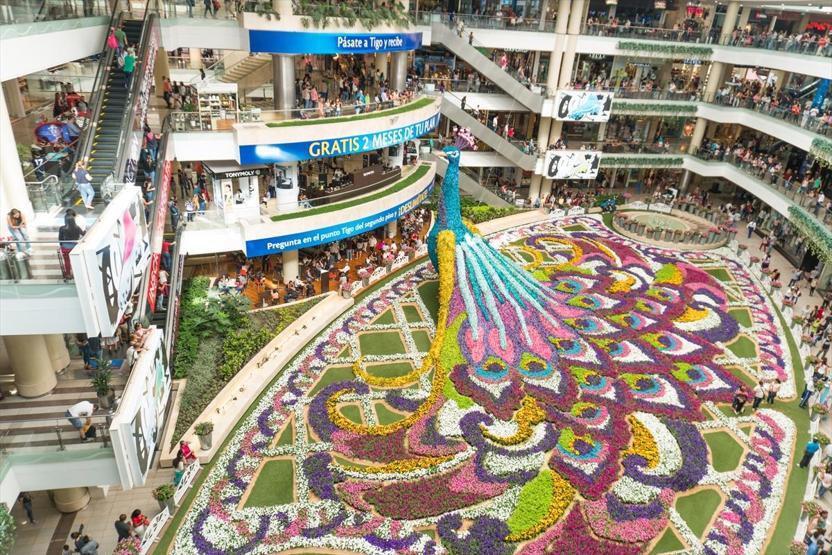 AVMnin içine 182 bin çiçekle tavus kuşu yaptılar