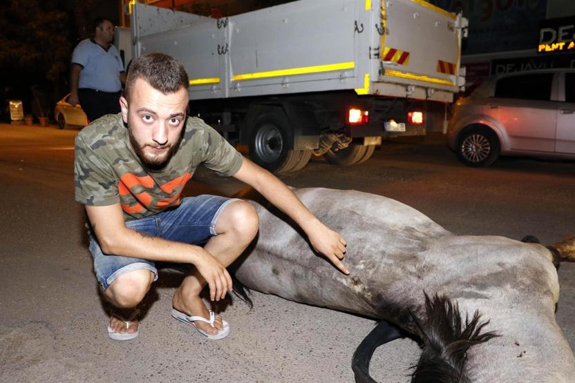 Ölen atı bırakıp kaçan faytoncuya ağır ceza