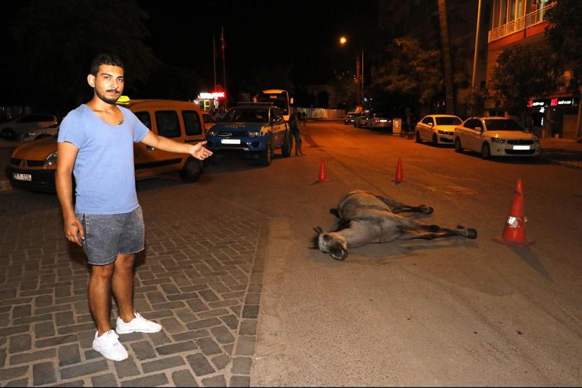 Ölen atı bırakıp kaçan faytoncuya ağır ceza
