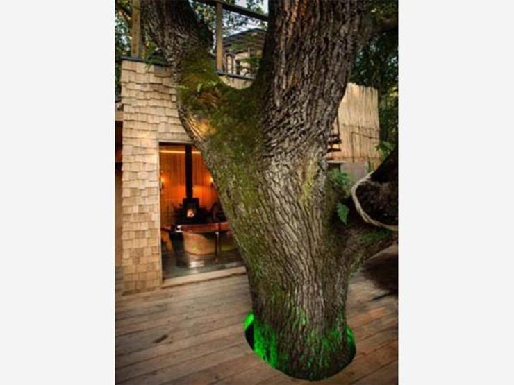 İşte İngilterenin en lüks ağaç evi
