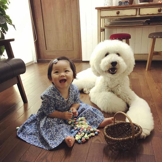 Günlük şeker ihtiyacınızı karşılayan ikili: Küçük bebek ve dev köpeği