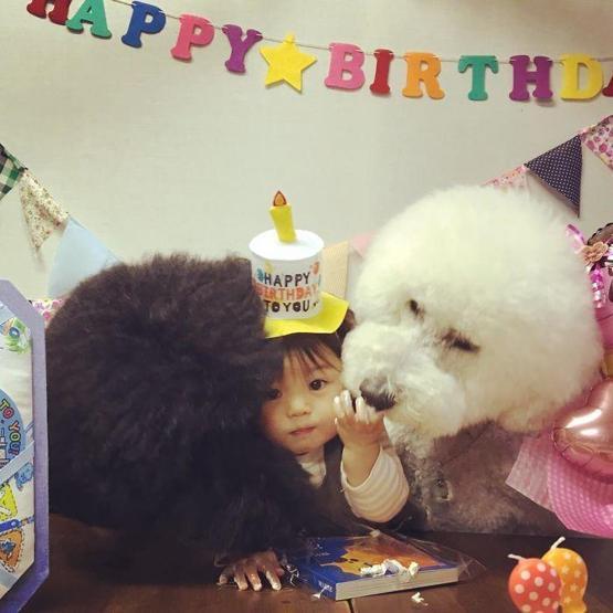 Günlük şeker ihtiyacınızı karşılayan ikili: Küçük bebek ve dev köpeği