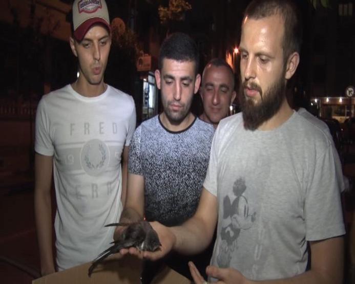Yaralı buldukları kuş bakın ne çıktı