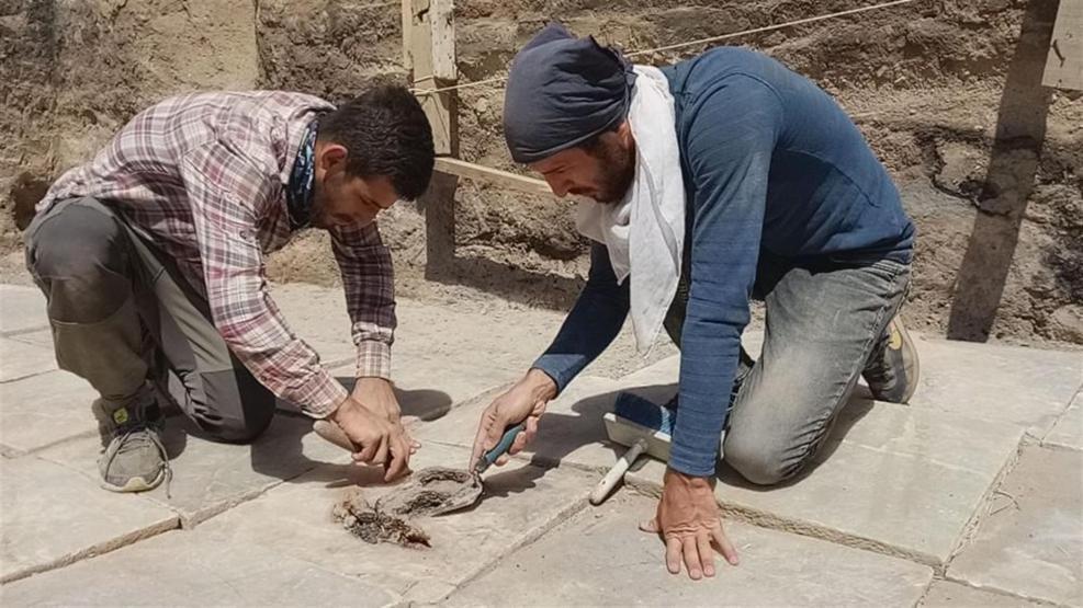 Urartulardan kalma Haldi tapınığında onarım başladı