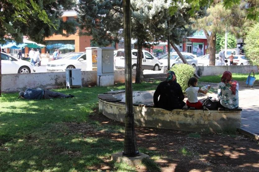 Surların gölgesinde serinliyor