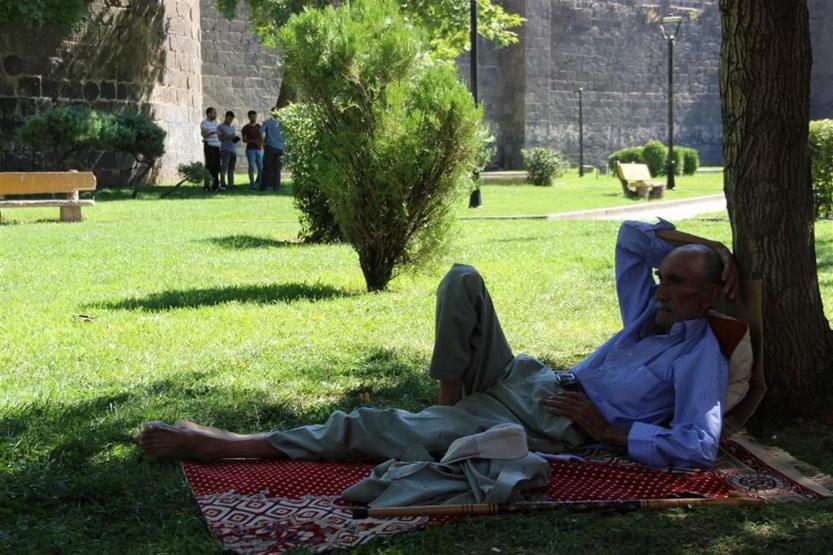 Surların gölgesinde serinliyor
