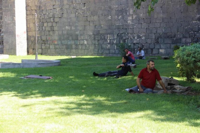 Surların gölgesinde serinliyor