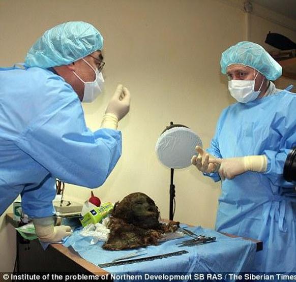 900 yıl sonra mumyası bulundu