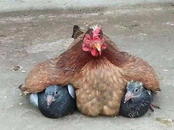 Onların ayrımcılık içermeyen bir annelik anlayışı var