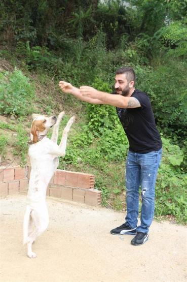 Köpekle kemençe eşliğinde kolbastı oynuyoruz