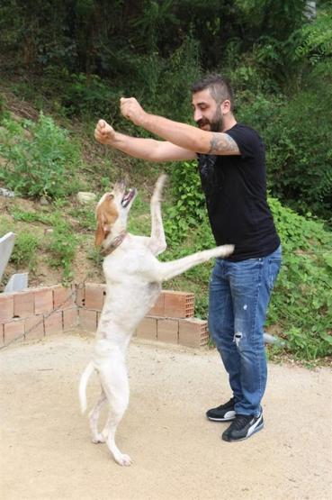 Köpekle kemençe eşliğinde kolbastı oynuyoruz