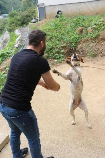 Köpekle kemençe eşliğinde kolbastı oynuyoruz