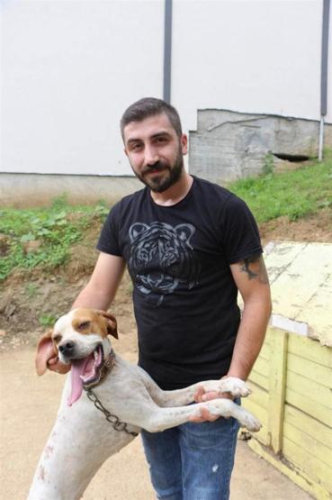 Köpekle kemençe eşliğinde kolbastı oynuyoruz