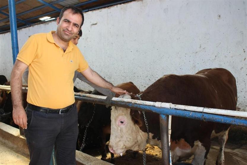 1.2 tonluk dana görenleri şaşkına çeviriyor