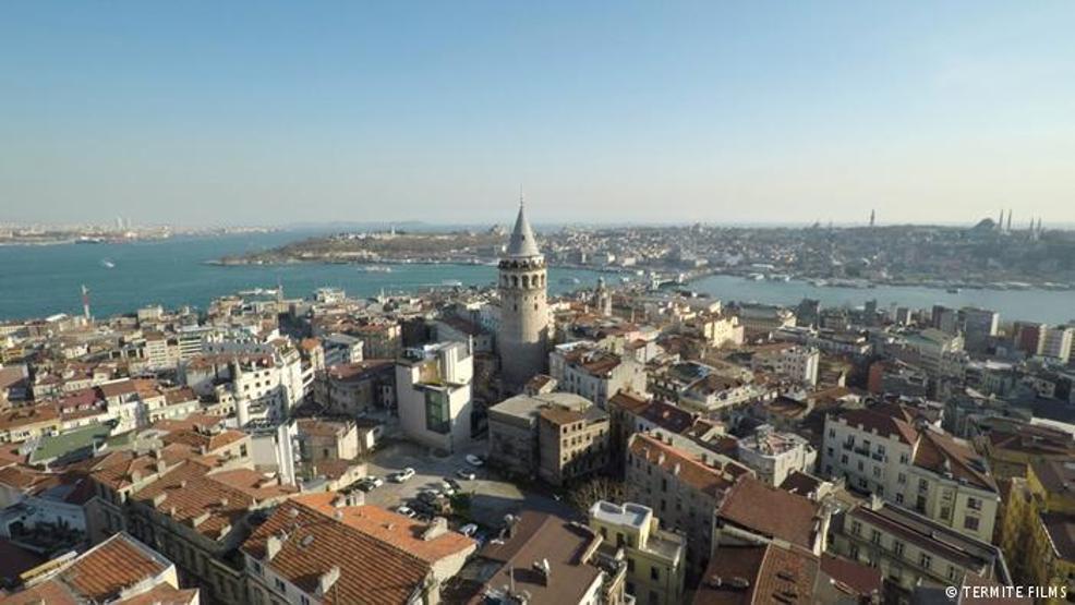 Ünleri sınır tanımıyor: İstanbulun kedileri