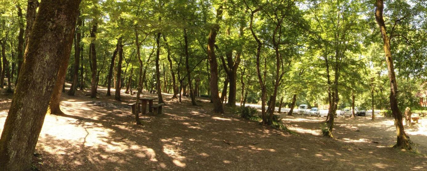 İşte İstanbulun 25 tabiat parkı