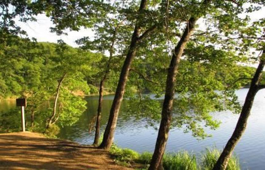 İşte İstanbulun 25 tabiat parkı