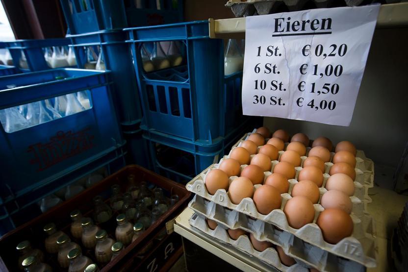 Zehirli yumurta krizi tırmanıyor Belçika Hollandayı suçladı
