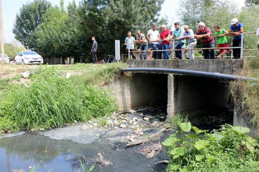 Kimyasal fabrika atıkları nedeniyle dere simsiyah akıyor