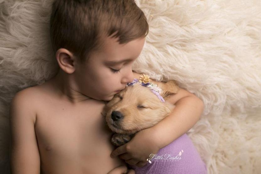 Fotoğrafçı aileye giden yavru köpek