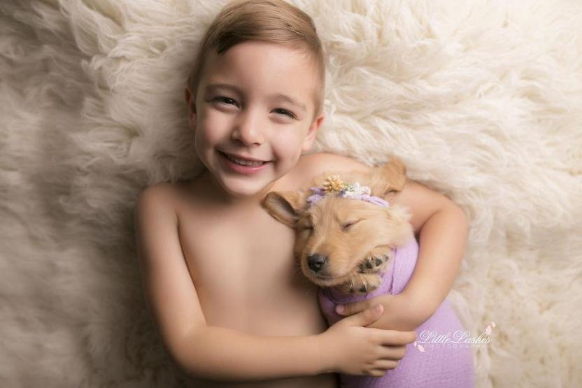 Fotoğrafçı aileye giden yavru köpek