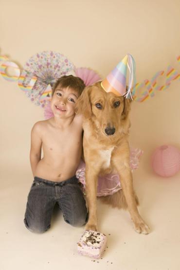 Fotoğrafçı aileye giden yavru köpek