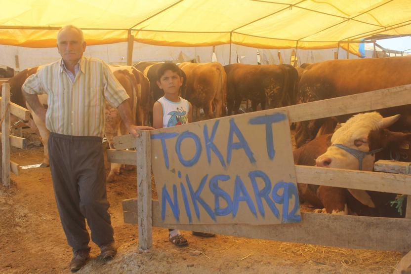 Kurbanlık boğa 23 bin liraya satıldı