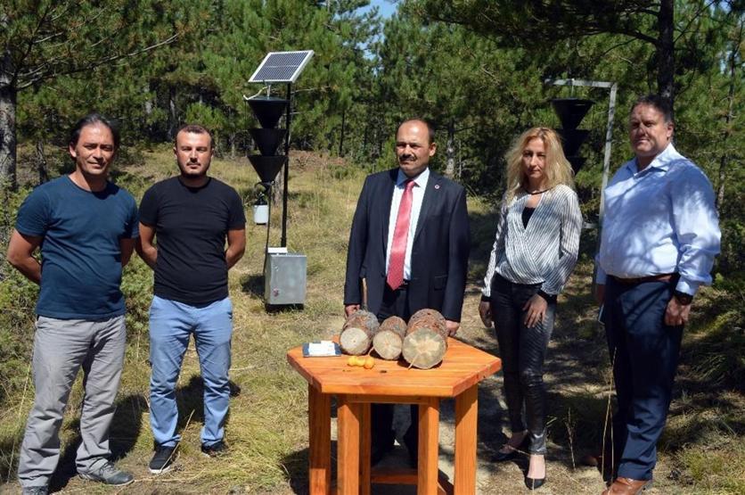 Ormanları böcekten elektronik tuzak koruyacak