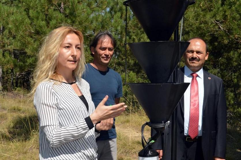 Ormanları böcekten elektronik tuzak koruyacak